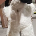 1pc Universal Car Tissue Hanger Doll Cute Creative Hanging Tissue Holder Plush Vehicle Tissue Case  Paper Box photo review