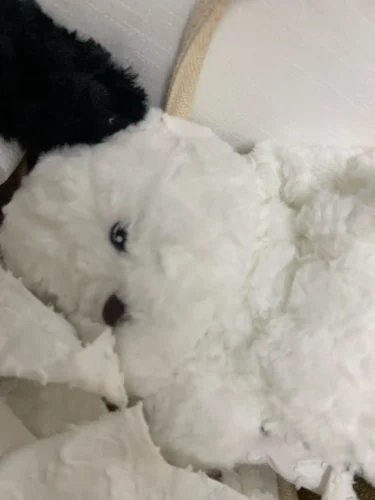 1pc Universal Car Tissue Hanger Doll Cute Creative Hanging Tissue Holder Plush Vehicle Tissue Case  Paper Box photo review