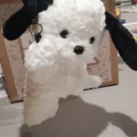 1pc Universal Car Tissue Hanger Doll Cute Creative Hanging Tissue Holder Plush Vehicle Tissue Case  Paper Box photo review