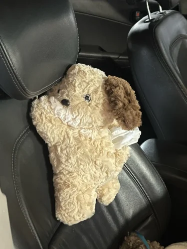 1pc Universal Car Tissue Hanger Doll Cute Creative Hanging Tissue Holder Plush Vehicle Tissue Case  Paper Box photo review