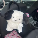 1pc Universal Car Tissue Hanger Doll Cute Creative Hanging Tissue Holder Plush Vehicle Tissue Case  Paper Box photo review
