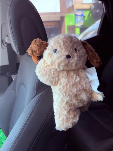 1pc Universal Car Tissue Hanger Doll Cute Creative Hanging Tissue Holder Plush Vehicle Tissue Case  Paper Box photo review
