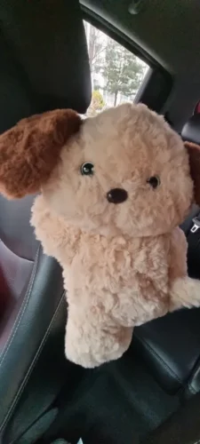 1pc Universal Car Tissue Hanger Doll Cute Creative Hanging Tissue Holder Plush Vehicle Tissue Case  Paper Box photo review