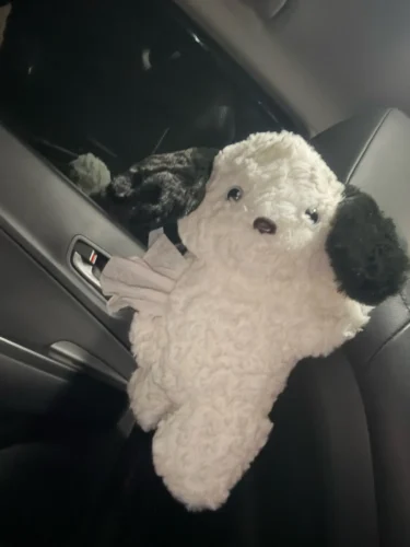 1pc Universal Car Tissue Hanger Doll Cute Creative Hanging Tissue Holder Plush Vehicle Tissue Case  Paper Box photo review